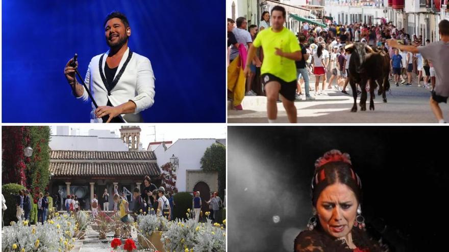 Lots of music, theatre and... no shortage of festivals in the villages: this is how the weekend looks in Córdoba