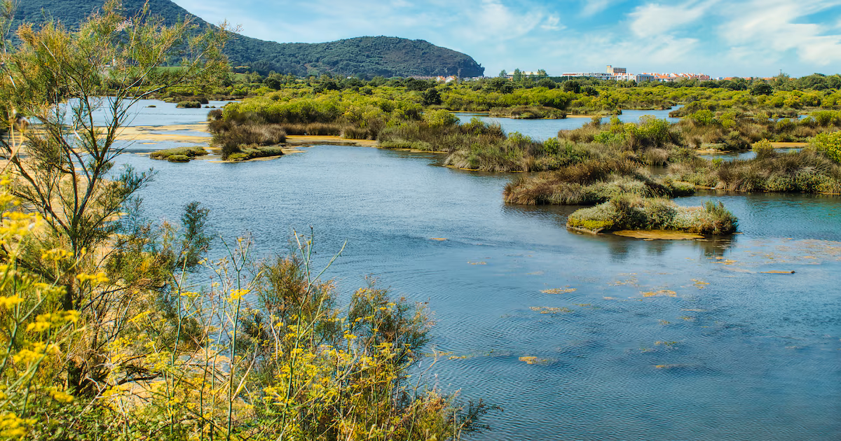 How the place we live can define the world we inhabit