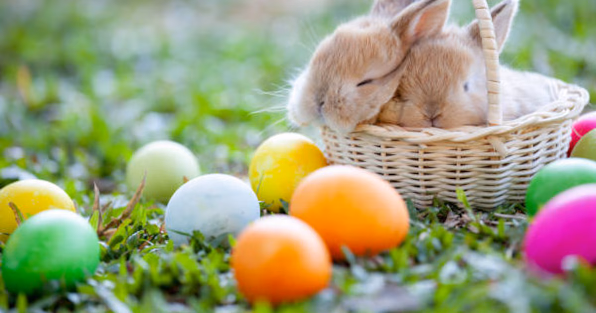 The best phrases to celebrate Easter on your social networks