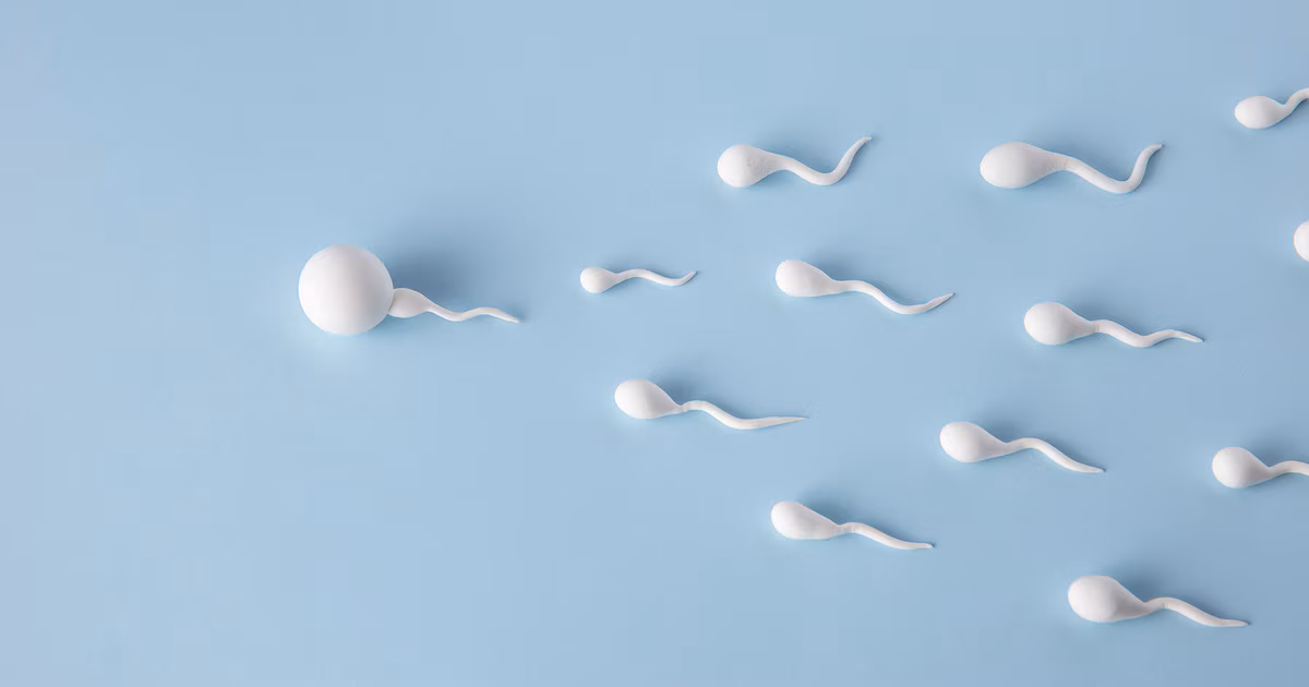 Víctor Espuig, family doctor: “The longer a man goes without ejaculating, the worse quality his sperm is”