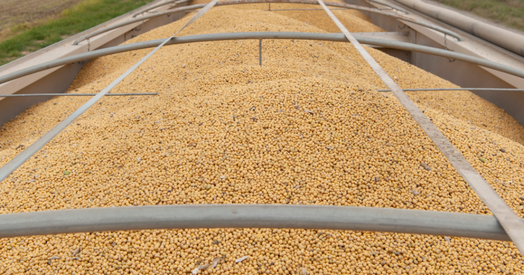 Cereals and soybeans rise after China's commitment to purchase US$17 billion