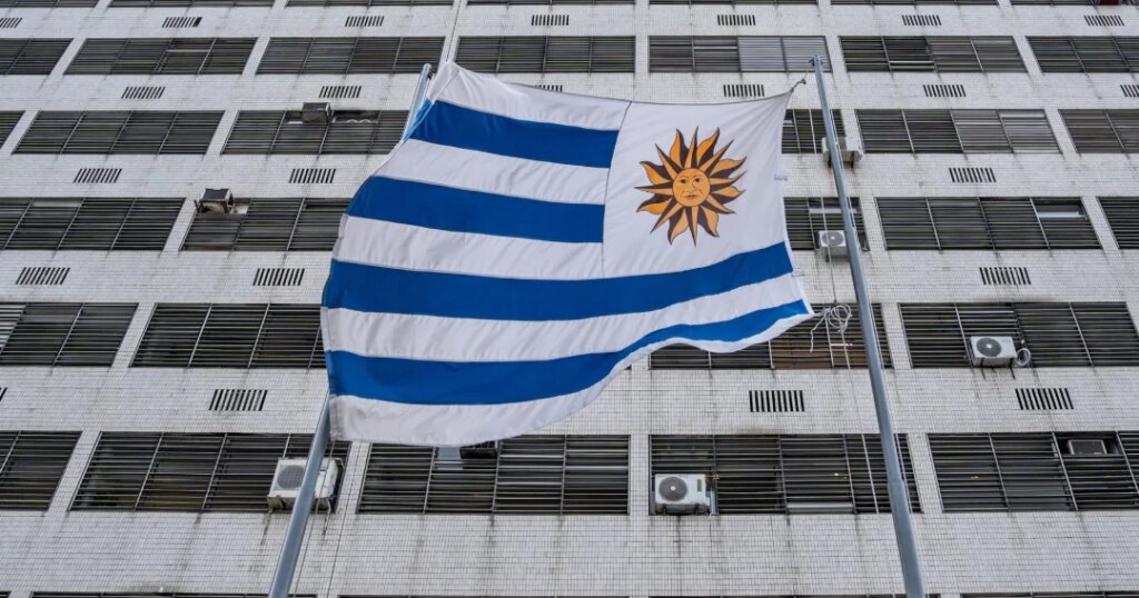 Uruguayan producers reject Brazilian investigation for alleged milk dumping