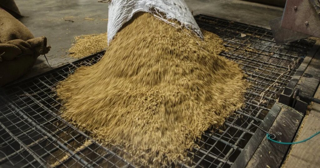 Peruvian government issued decree to purchase rice for almost US$50 million